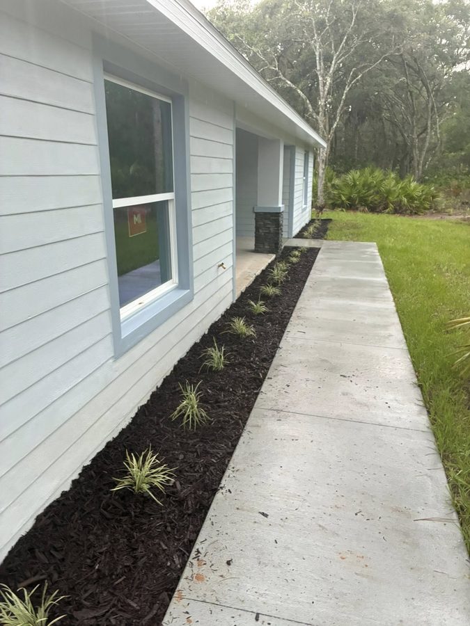 Fresh mulch bed with ornamental plants along a walkway